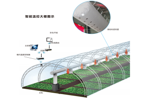 智能溫控大棚